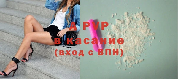 ГАЛЛЮЦИНОГЕННЫЕ ГРИБЫ Покров