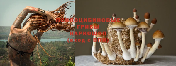 PSILOCYBIN Покровск