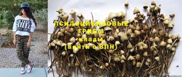 PSILOCYBIN Покровск