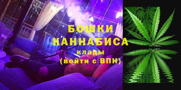 ГАЛЛЮЦИНОГЕННЫЕ ГРИБЫ Покров