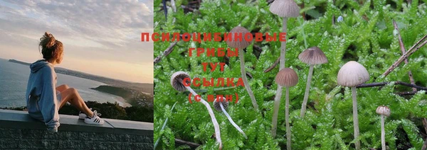 PSILOCYBIN Покровск