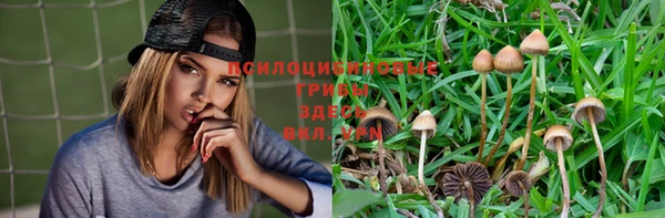марки nbome Покачи